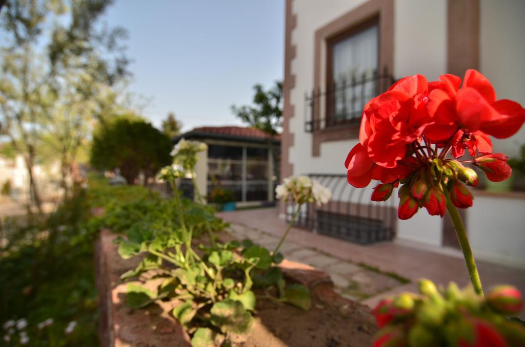 Cunda Nesos Pansiyon Ayvalı Εξωτερικό φωτογραφία