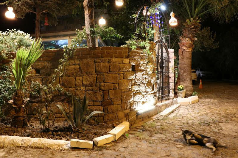 Cunda Nesos Pansiyon Ayvalı Εξωτερικό φωτογραφία